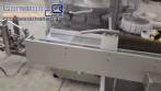Envasadora rotativa com seladora e t�nel de despirogeniza��o esteriliza��o para ampolas de vidro injet�veis em inox 316L Bausch com CFR 21 ano 2022