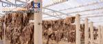 Ind�stria planta empresa frigor�fica processadora para desossa processamento de carnes e embutidos