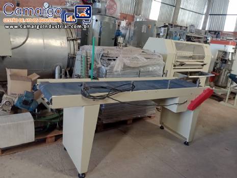 Esteira transportadora 400 mm x 2000 mm